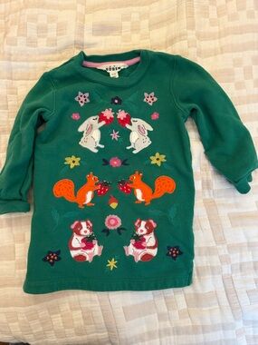 Mini Boden Cozy woodland Appliqué sweatshirt dress green 2T